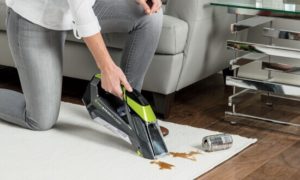 right handheld carpet cleaner