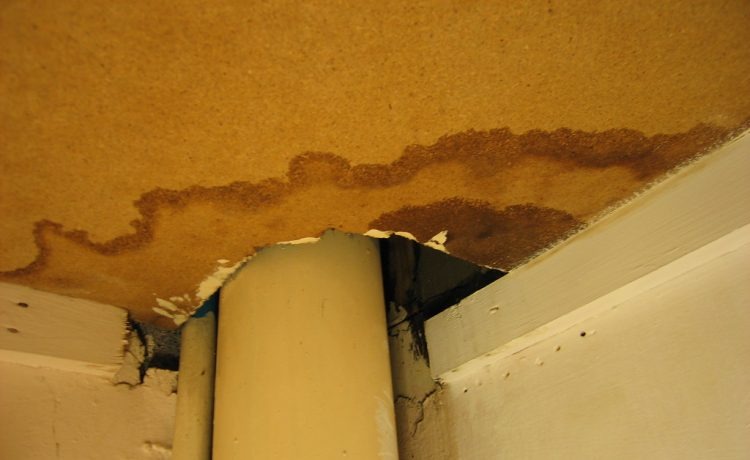 What to consider before water damage restoration