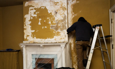 Hiring a Mold Removal Company